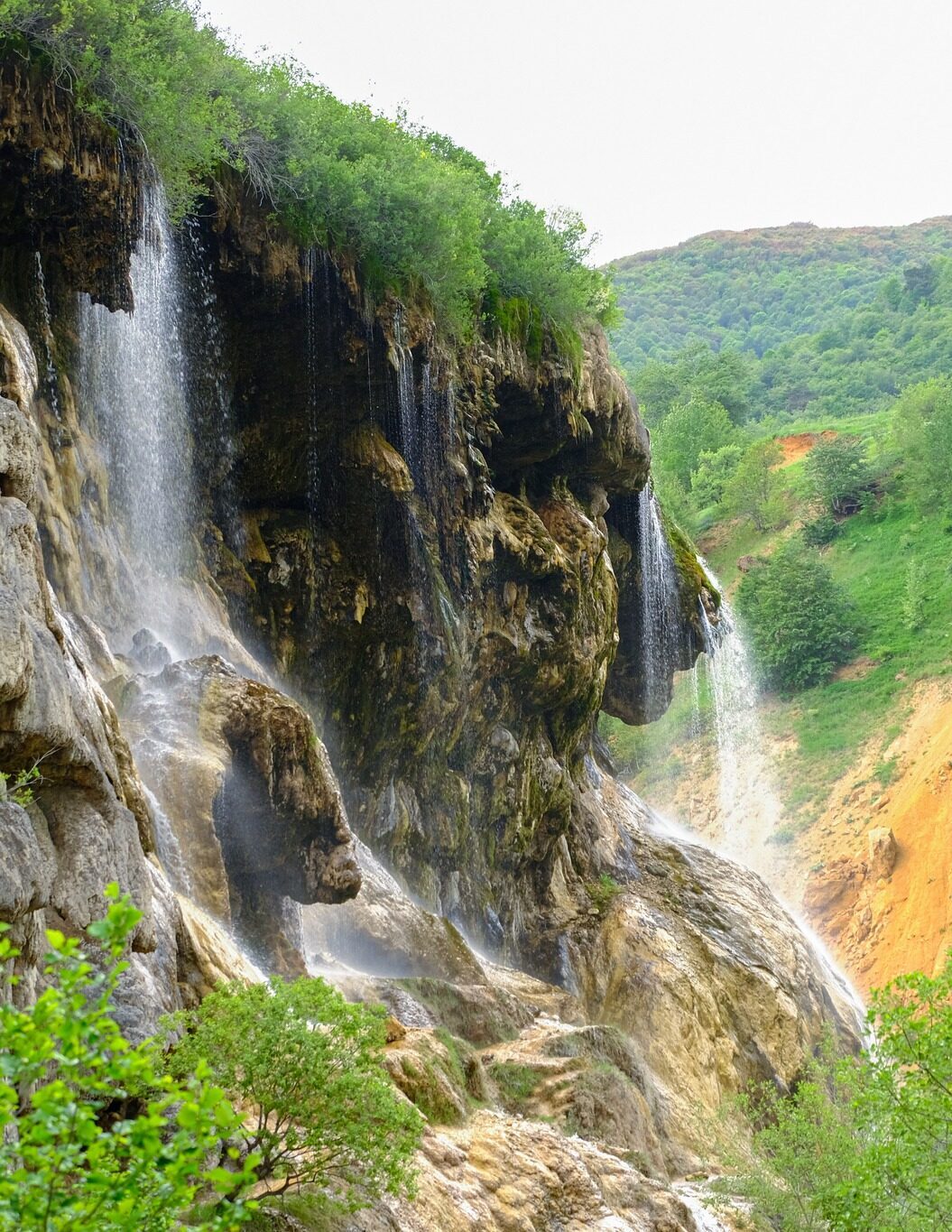 dogansar2